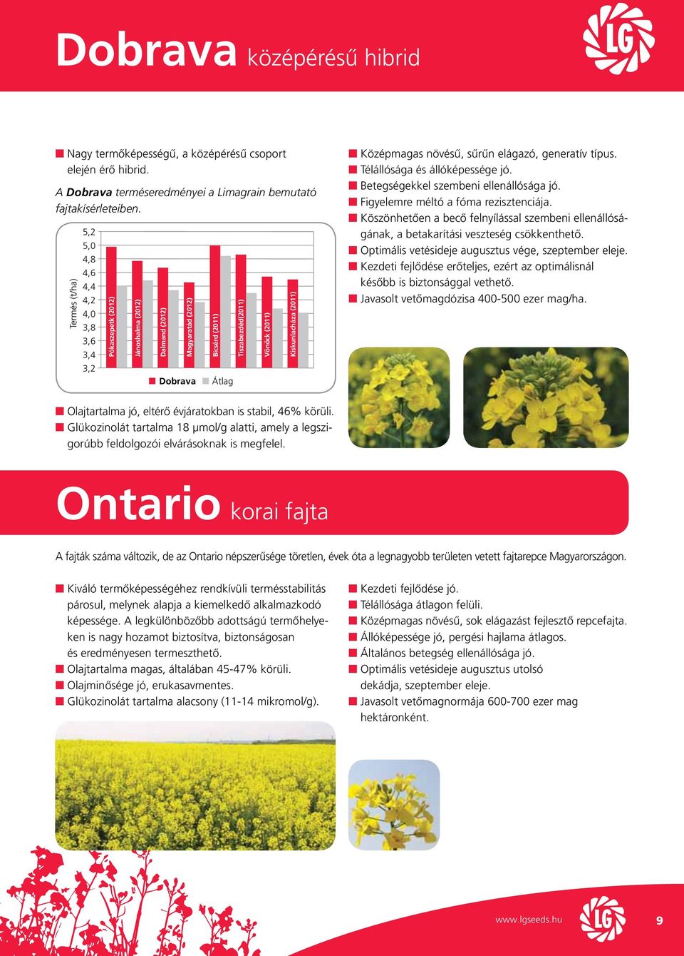 (t/ha) A Dobrava terméseredményei a Limagrain bemutató fajtakísérleteiben. Középmagas növésű, sűrűn elágazó, generatív típus. Télállósága és állóképessége jó. Betegségekkel szembeni ellenállósága jó.