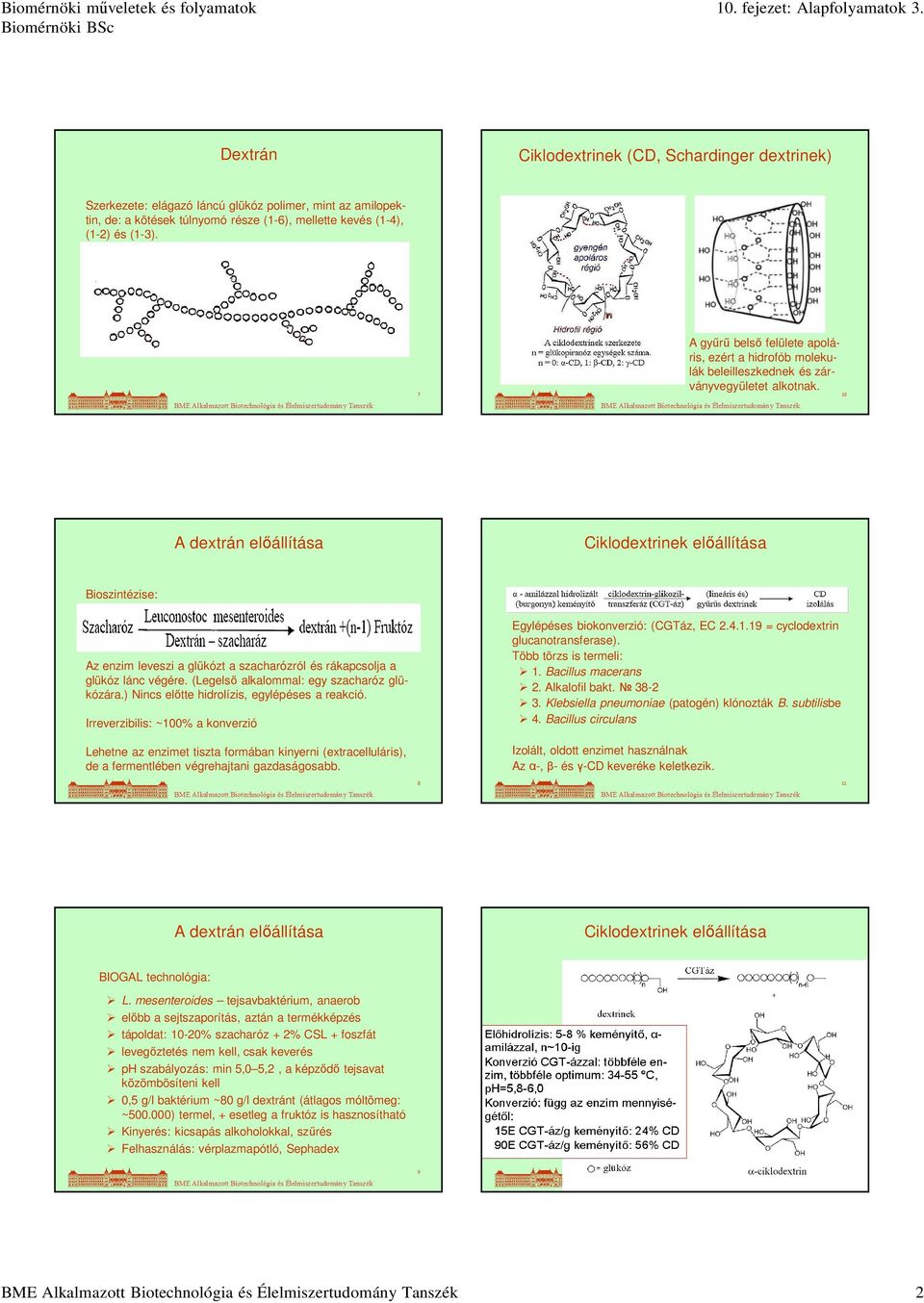 10 A dextrán előállítása Ciklodextrinek előállítása Bioszintézise: Az enzim leveszi a glükózt a szacharózról és rákapcsolja a glükóz lánc végére. (Legelső alkalommal: egy szacharóz glükózára.