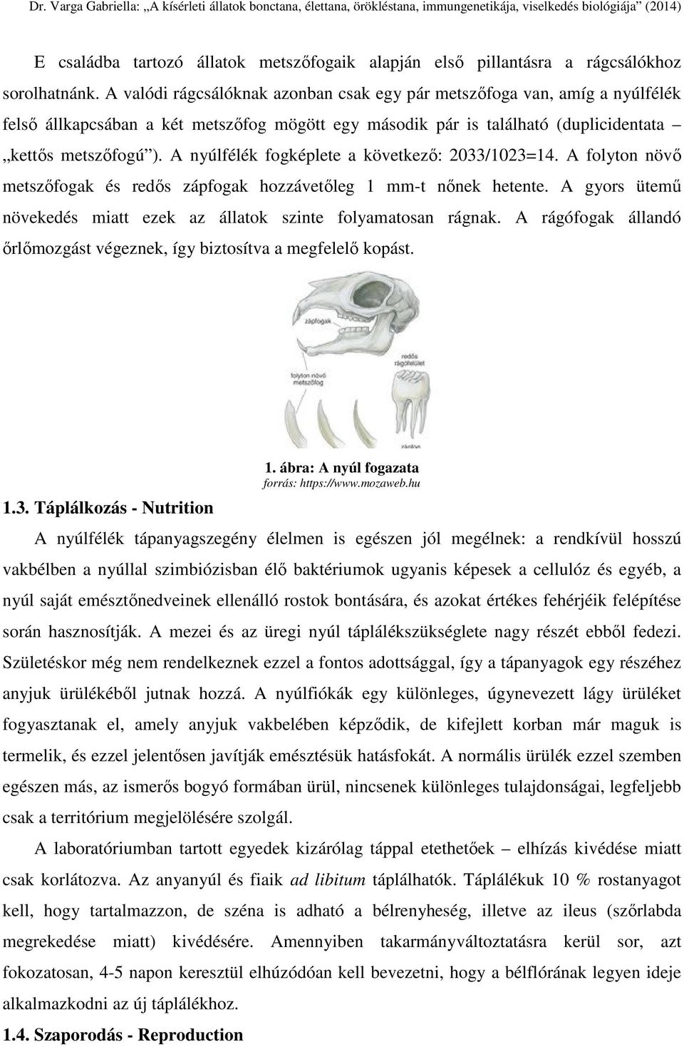 A nyúlfélék fogképlete a következő: 2033/1023=14. A folyton növő metszőfogak és redős zápfogak hozzávetőleg 1 mm-t nőnek hetente.