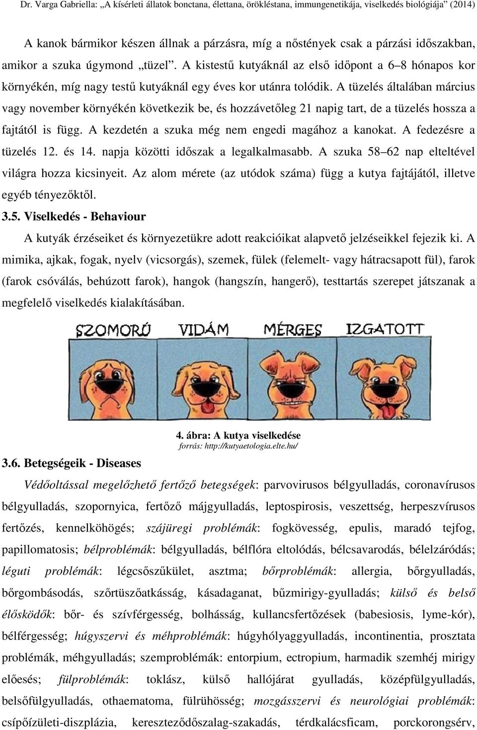 A tüzelés általában március vagy november környékén következik be, és hozzávetőleg 21 napig tart, de a tüzelés hossza a fajtától is függ. A kezdetén a szuka még nem engedi magához a kanokat.