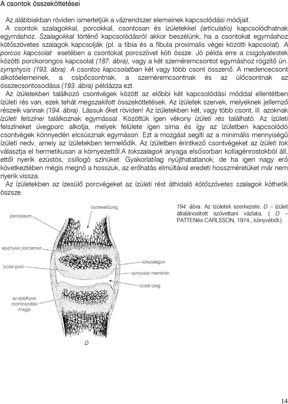 Szalagokkal történõ kapcsolódásról akkor beszélünk, ha a csontokat egymáshoz kötôszövetes szalagok kapcsolják (pl. a tibia és a fibula proximalis végei közötti kapcsolat).