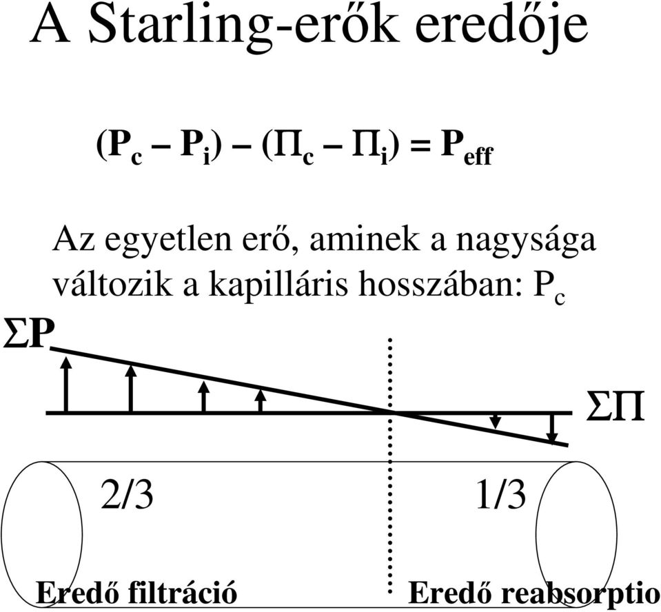 nagysága ΣP változik a kapilláris