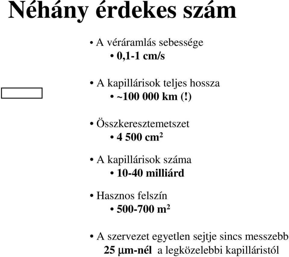 ) Összkeresztemetszet 4 500 cm 2 A kapillárisok száma 10-40 milliárd