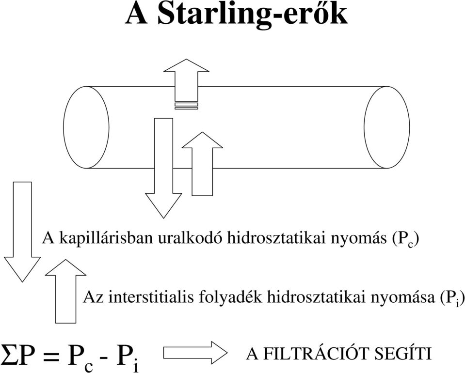 interstitialis folyadék hidrosztatikai