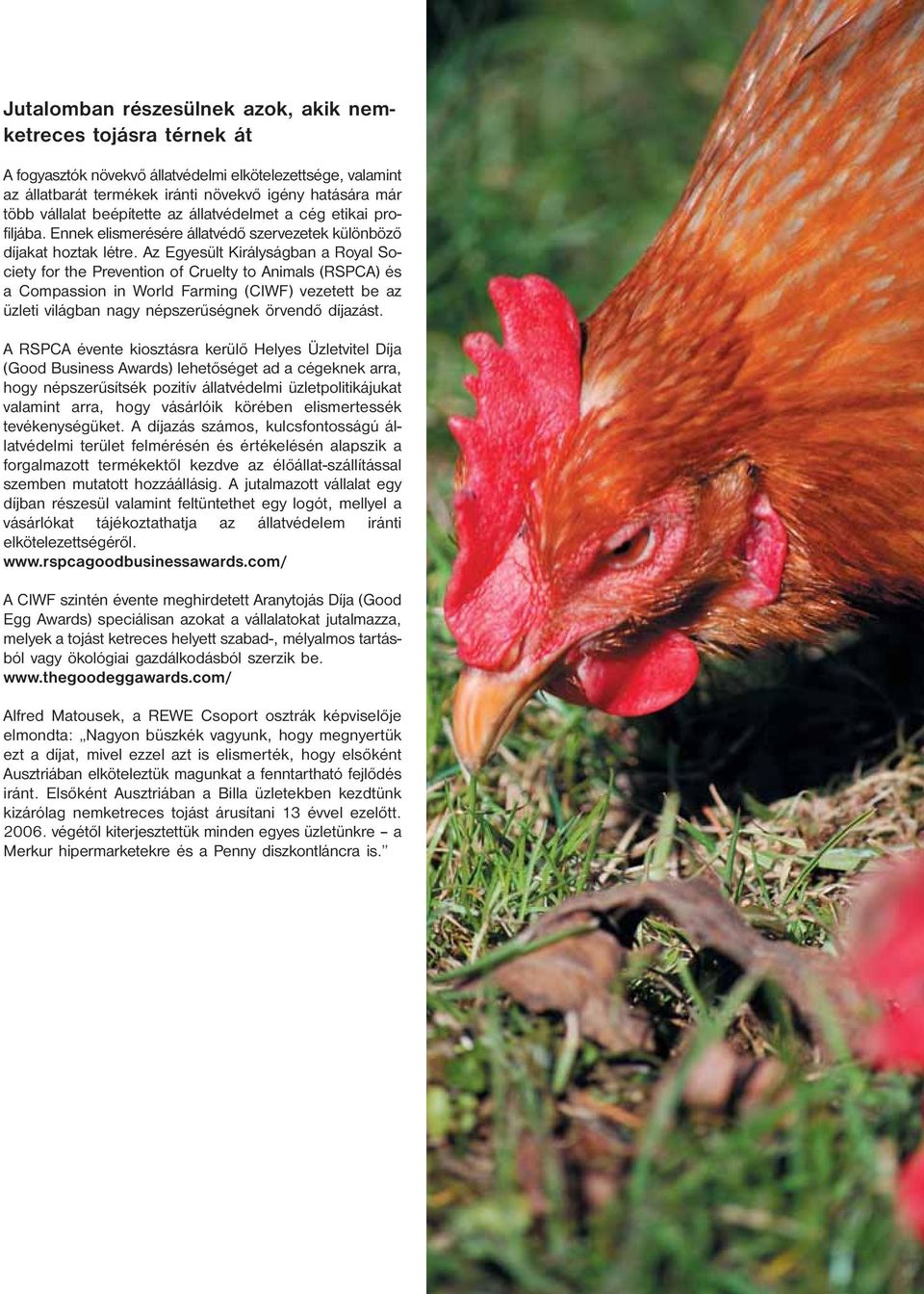 Az Egyesült Királyságban a Royal Society for the Prevention of Cruelty to Animals (RSPCA) és a Compassion in World Farming (CIWF) vezetett be az üzleti világban nagy népszerűségnek örvendő díjazást.