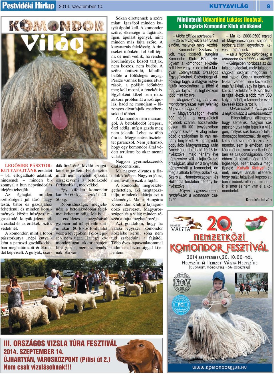 A komondor, mint a többi pásztorkutya népi kutya - ként a paraszti gazdálkodásban meghatározott értékrendet képviselt. A gulyák, csordák ôrzésénél kiváló szolgálatot teljesített.