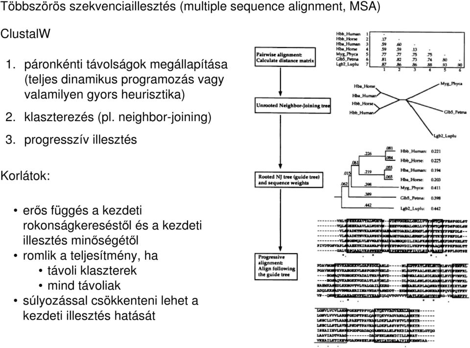 klaszterezés (pl. neighbor-joining) 3.