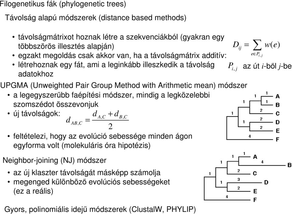 faépítési módszer, mindig a legközelebbi szomszédot összevonjuk új távolságok: d A, C + d B, C Neighbor-joining (NJ) módszer d AB, C = feltételezi, hogy az evolúció sebessége minden ágon egyforma