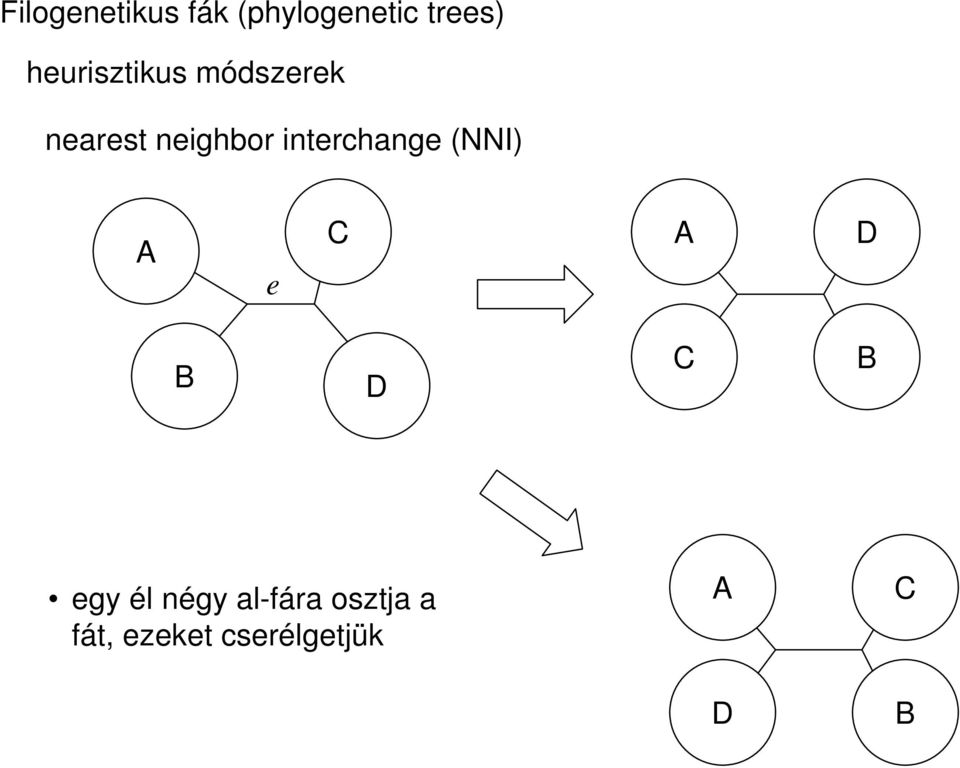 interchange (NNI) A e C A D B D C B egy él