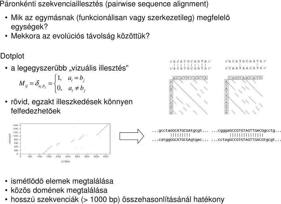 Dotplot a legegyszerőbb vizuális illesztés M ij 1, = δa i, b = j 0, a i a i = b j b rövid, egzakt illeszkedések könnyen felfedezhetıek