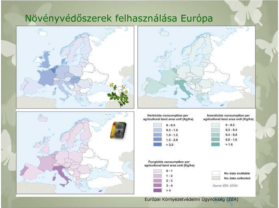 Európa Európai