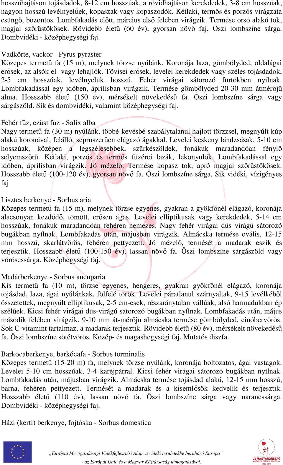 Vadkörte, vackor - Pyrus pyraster Közepes termetű fa (15 m), melynek törzse nyúlánk. Koronája laza, gömbölyded, oldalágai erősek, az alsók el- vagy lehajlók.