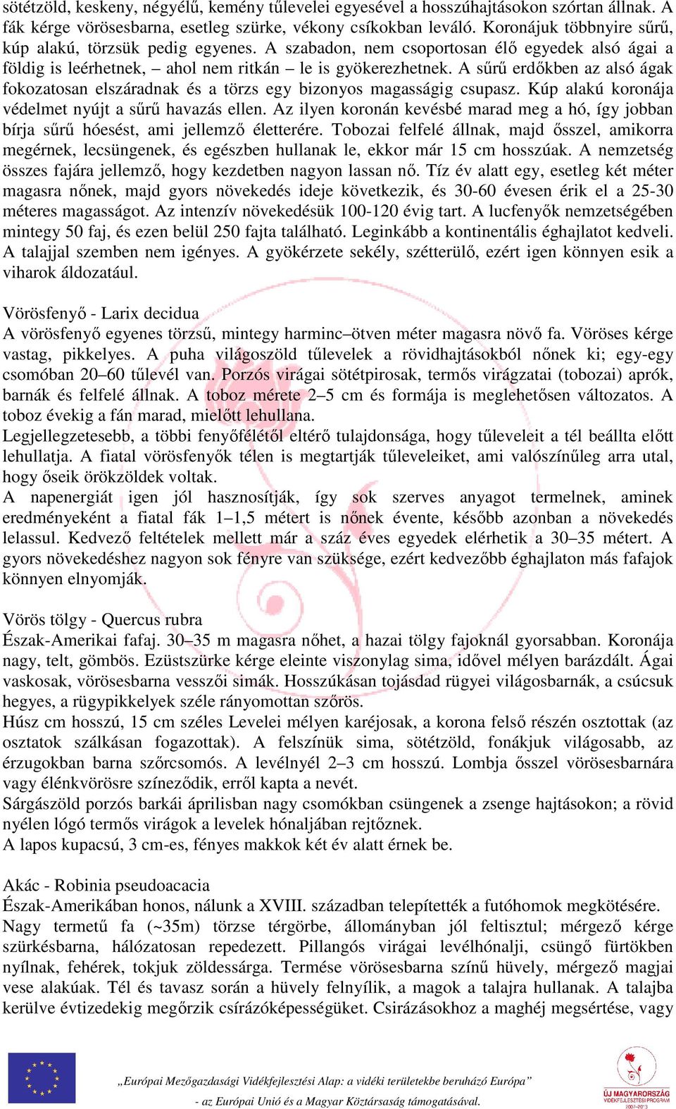 A sűrű erdőkben az alsó ágak fokozatosan elszáradnak és a törzs egy bizonyos magasságig csupasz. Kúp alakú koronája védelmet nyújt a sűrű havazás ellen.