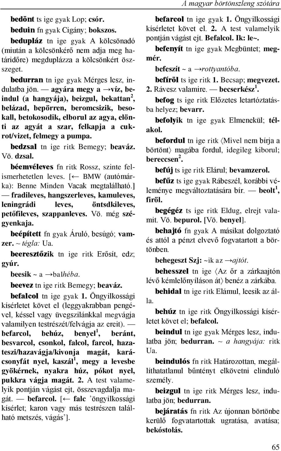 agyára megy a víz, beindul (a hangyája), beizgul, bekattan 2, belázad, bepörren, beromcsizik, besokall, betokosodik, elborul az agya, elönti az agyát a szar, felkapja a cukrot/vizet, felmegy a pumpa.