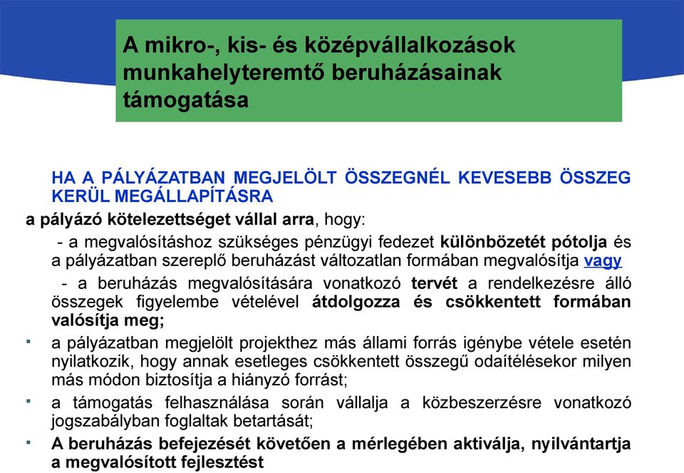 formában valósítja meg; a pályázatban megjelölt projekthez más állami forrás igénybe vétele esetén nyilatkozik, hogy annak esetleges csökkentett összegű odaítélésekor milyen más módon biztosítja a