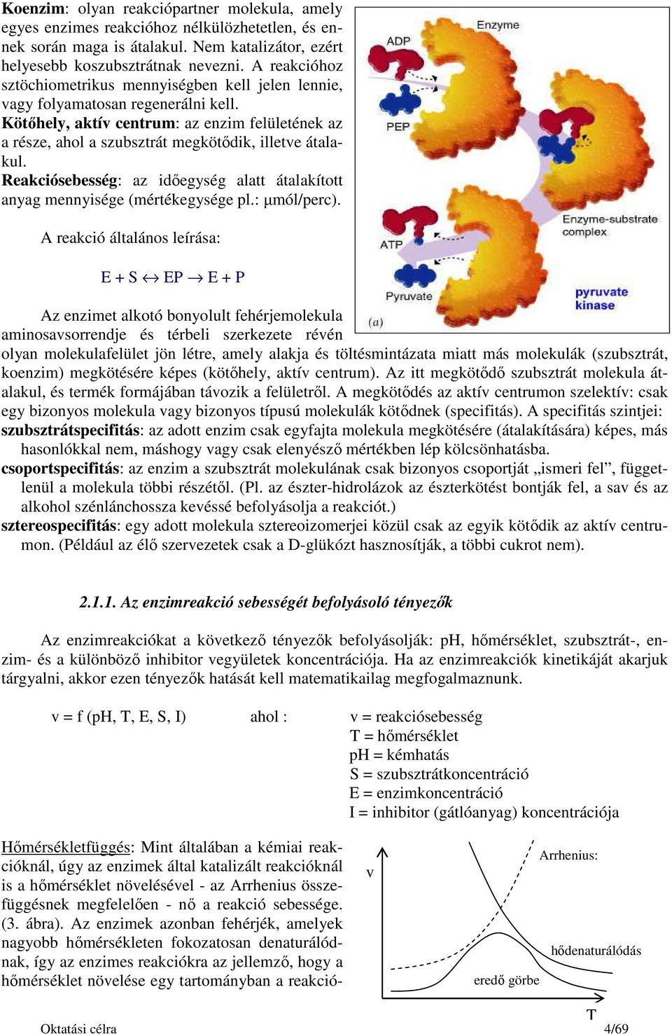 Kötőhely, aktív centrum: az enzim felületének az a része, ahol a szubsztrát megkötődik, illetve átalakul. Reakciósebesség: az időegység alatt átalakított anyag mennyisége (mértékegysége pl.