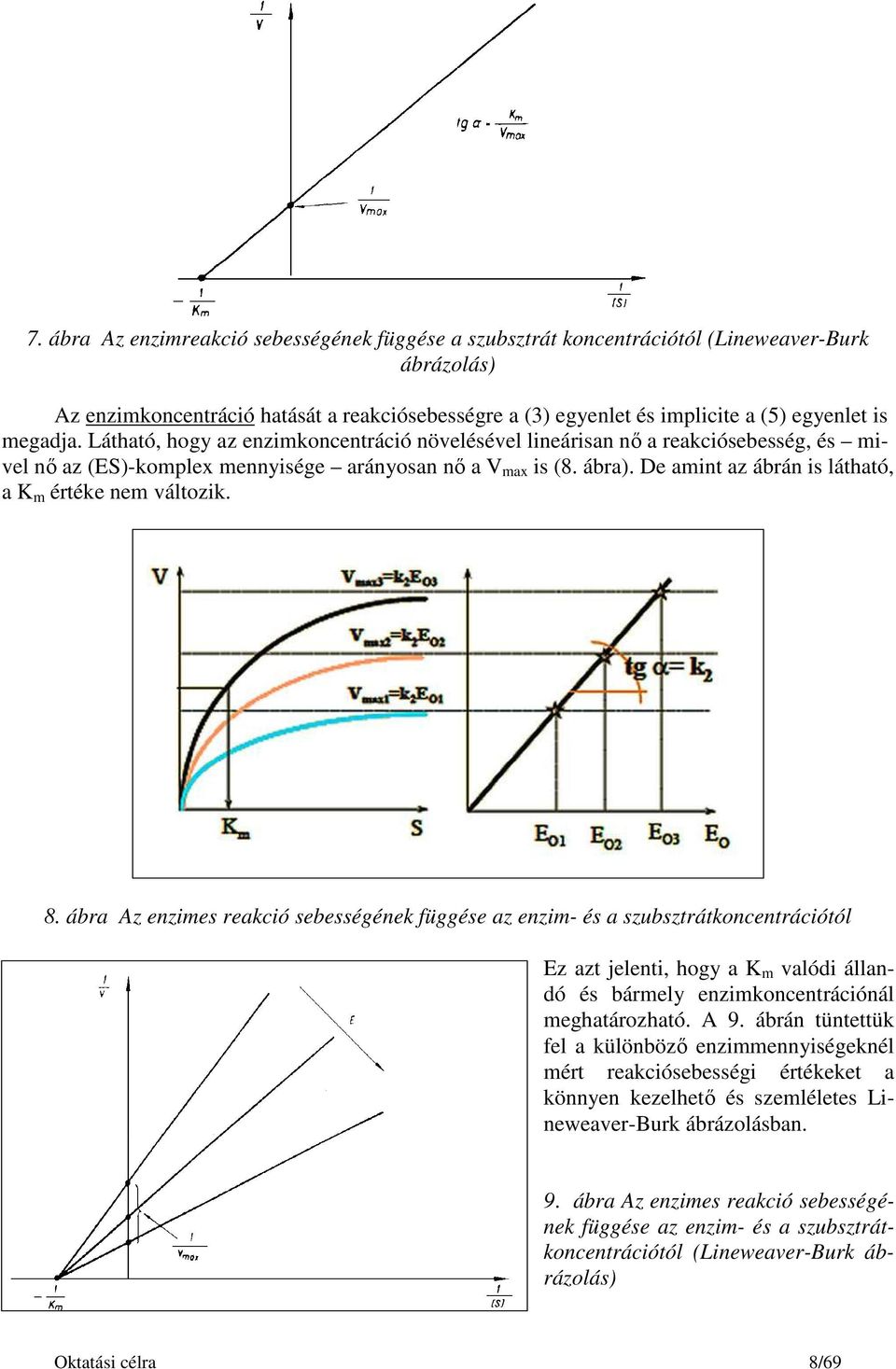 De amint az ábrán is látható, a K m értéke nem változik. 8.