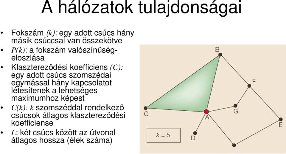 egymással hány kapcsolatot létesítenek a lehetséges maximumhoz képest C(k): k szomszéddal