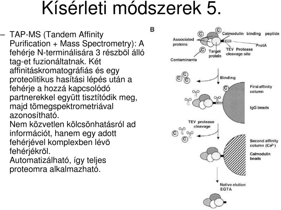 fuzionáltatnak.