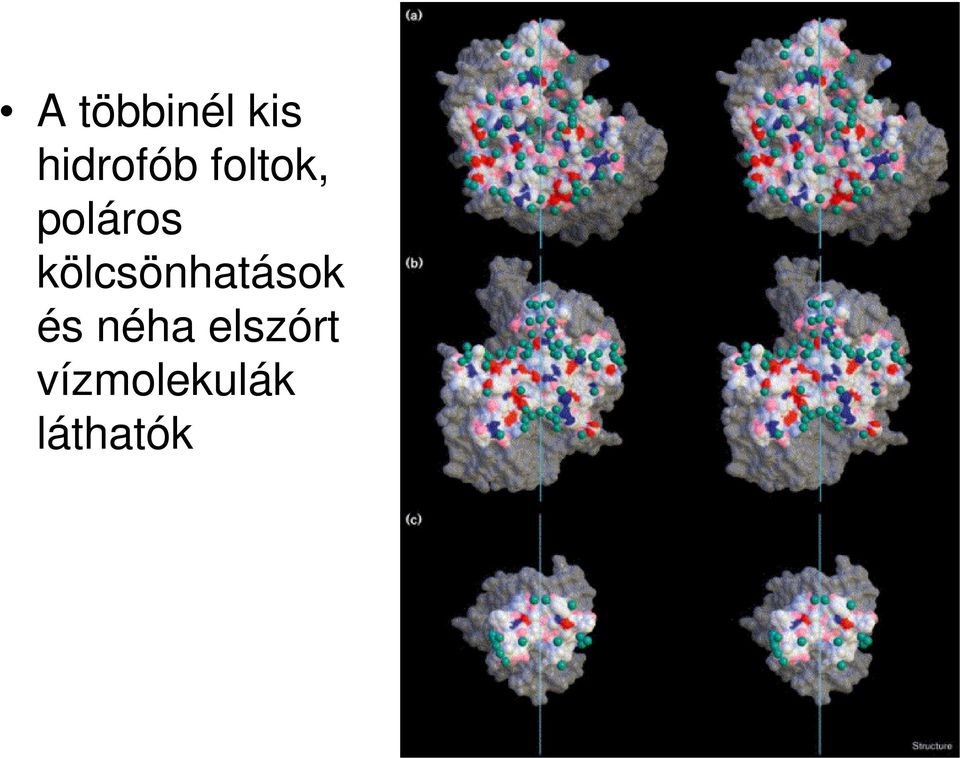 poláros kölcsönhatások