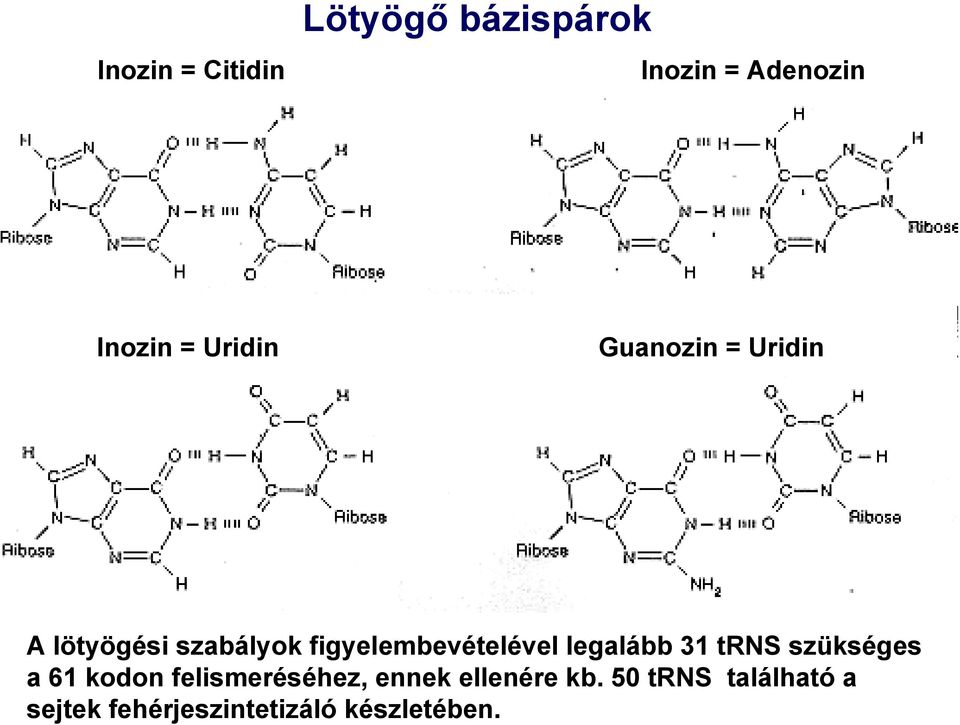 figyelembevételével legalább 31 trns szükséges a 61 kodon