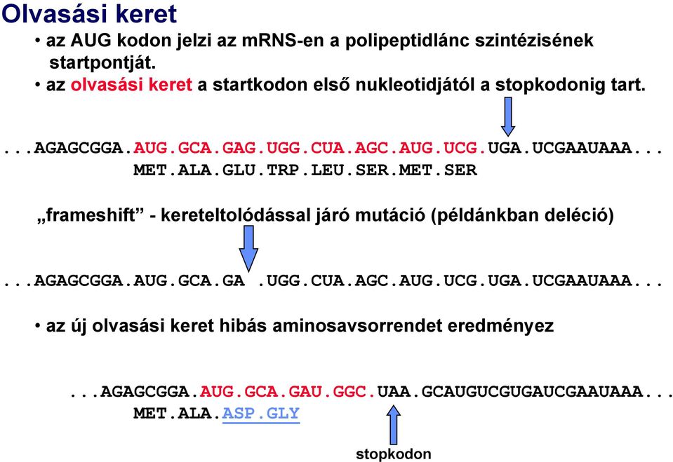 .. MET.ALA.GLU.TRP.LEU.SER.MET.SER frameshift - kereteltolódással járó mutáció (példánkban deléció)...agagcgga.aug.gca.ga.ugg.