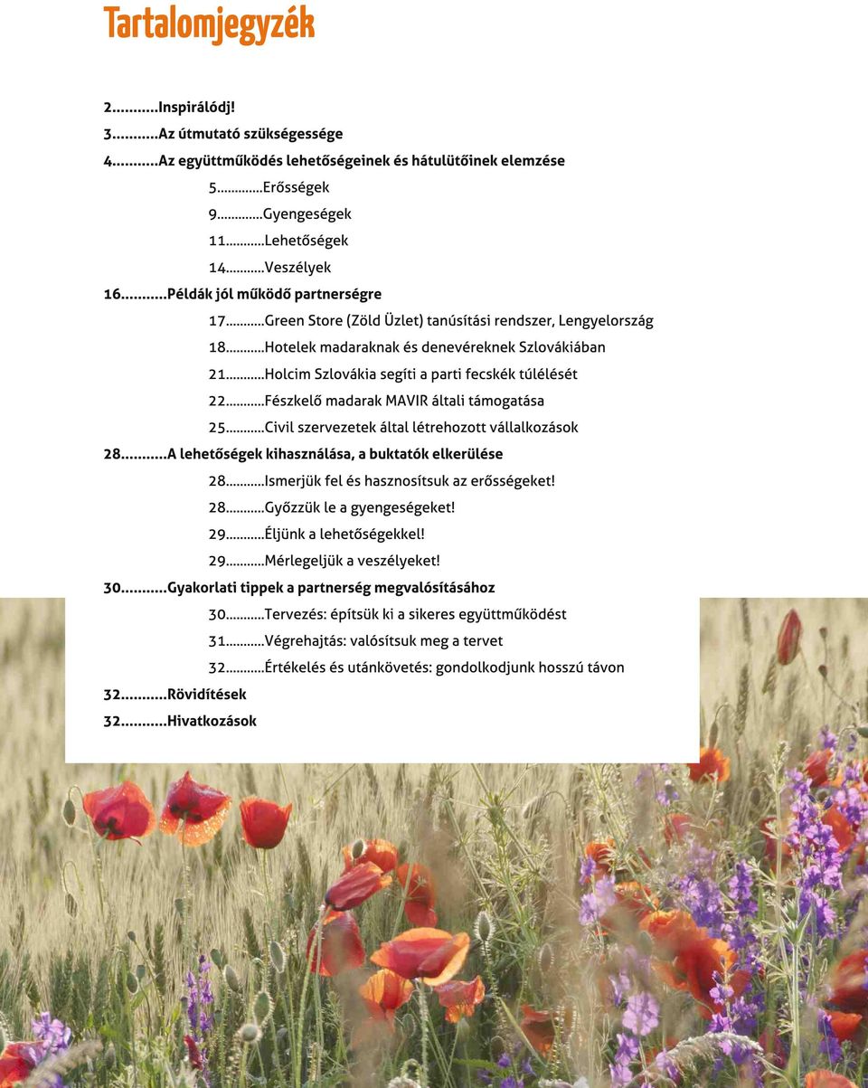 ..Holcim Szlovákia segíti a parti fecskék túlélését 22...Fészkelő madarak MAVIR általi támogatása 25...Civil szervezetek által létrehozott vállalkozások 28.