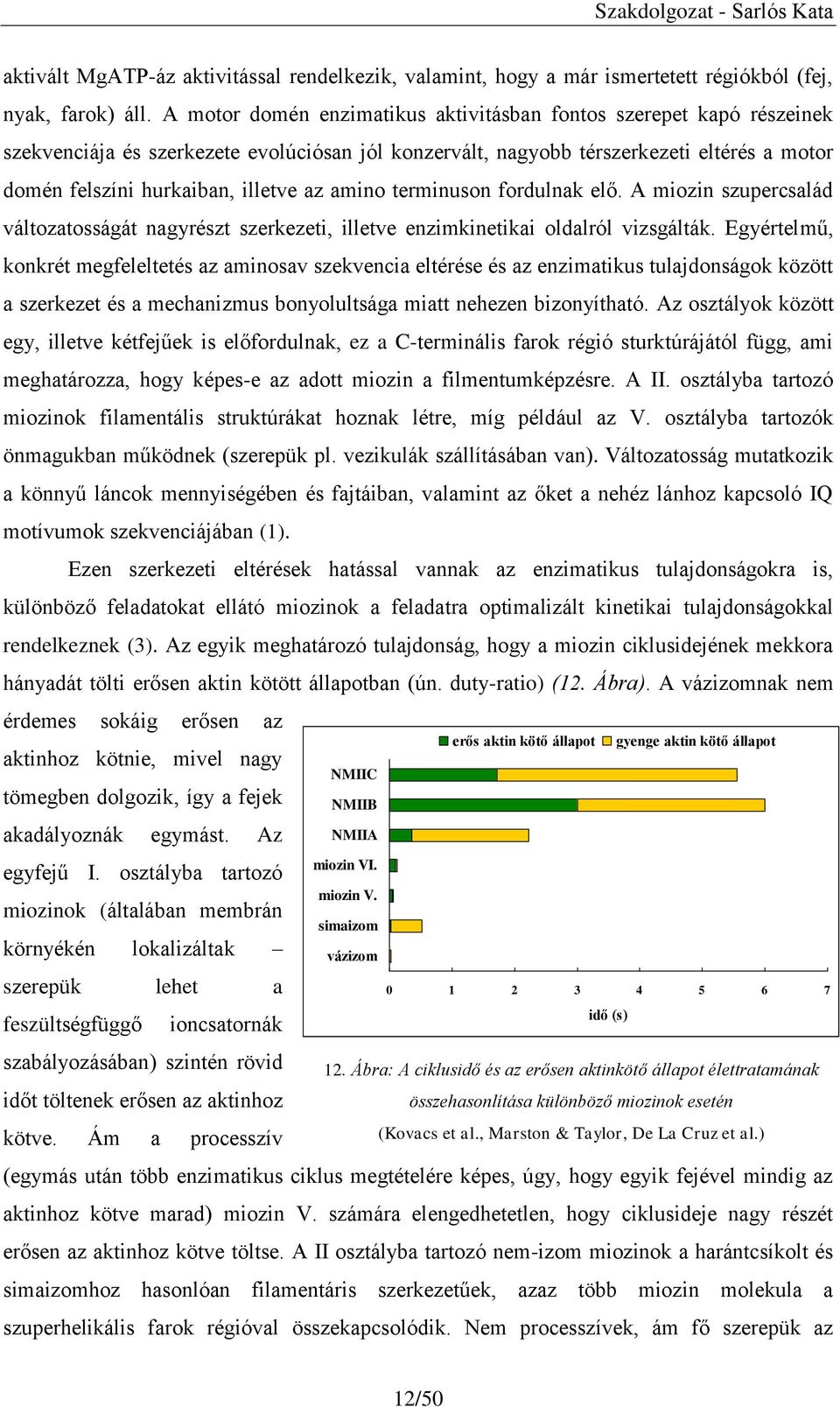 amino terminuson fordulnak elő. A miozin szupercsalád változatosságát nagyrészt szerkezeti, illetve enzimkinetikai oldalról vizsgálták.