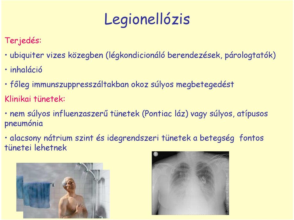 Klinikai tünetek: nem súlyos influenzaszerő tünetek (Pontiac láz) vagy súlyos,