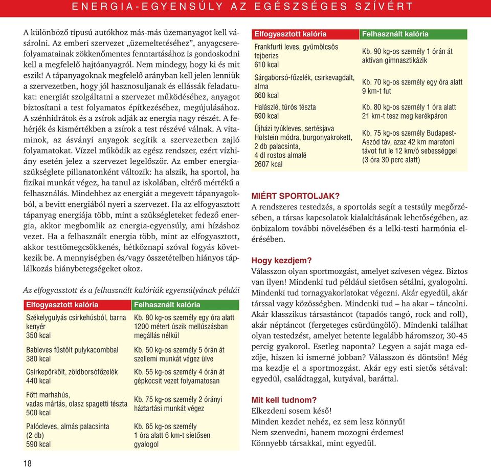 A tápanyagoknak megfelelô arányban kell jelen lenniük a szervezetben, hogy jól hasznosuljanak és ellássák feladatukat: energiát szolgáltatni a szervezet mûködéséhez, anyagot biztosítani a test