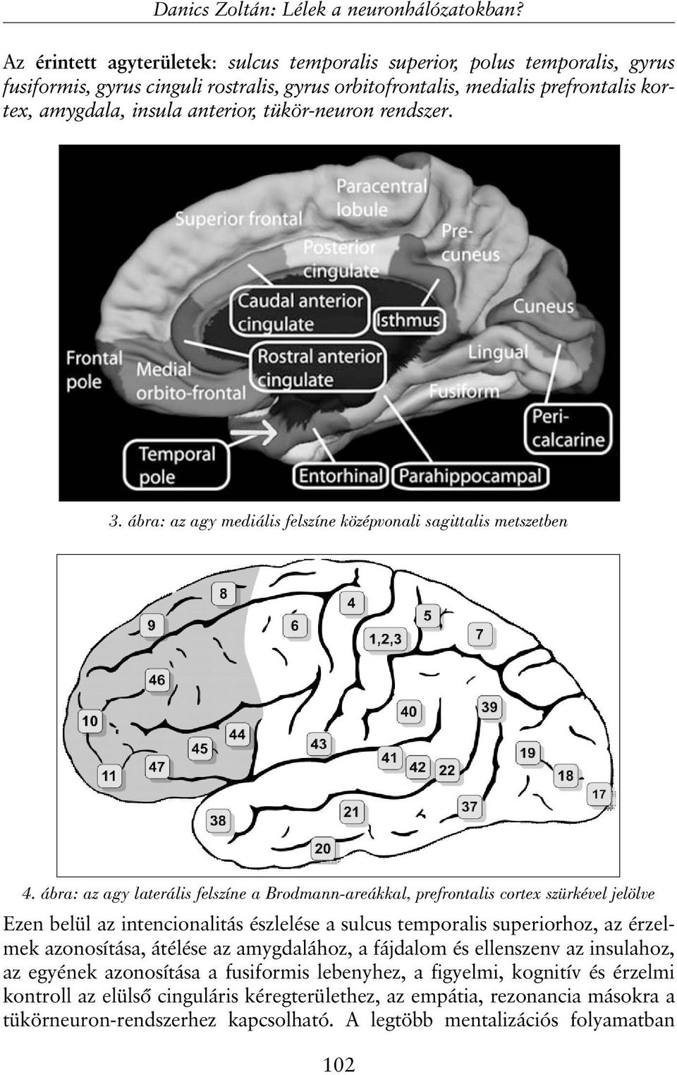 ábra: az agy laterális felszíne a Brodmann-areákkal, prefrontalis cortex szürkével jelölve Ezen belül az intencionalitás észlelése a sulcus temporalis superiorhoz, az érzelmek azonosítása,