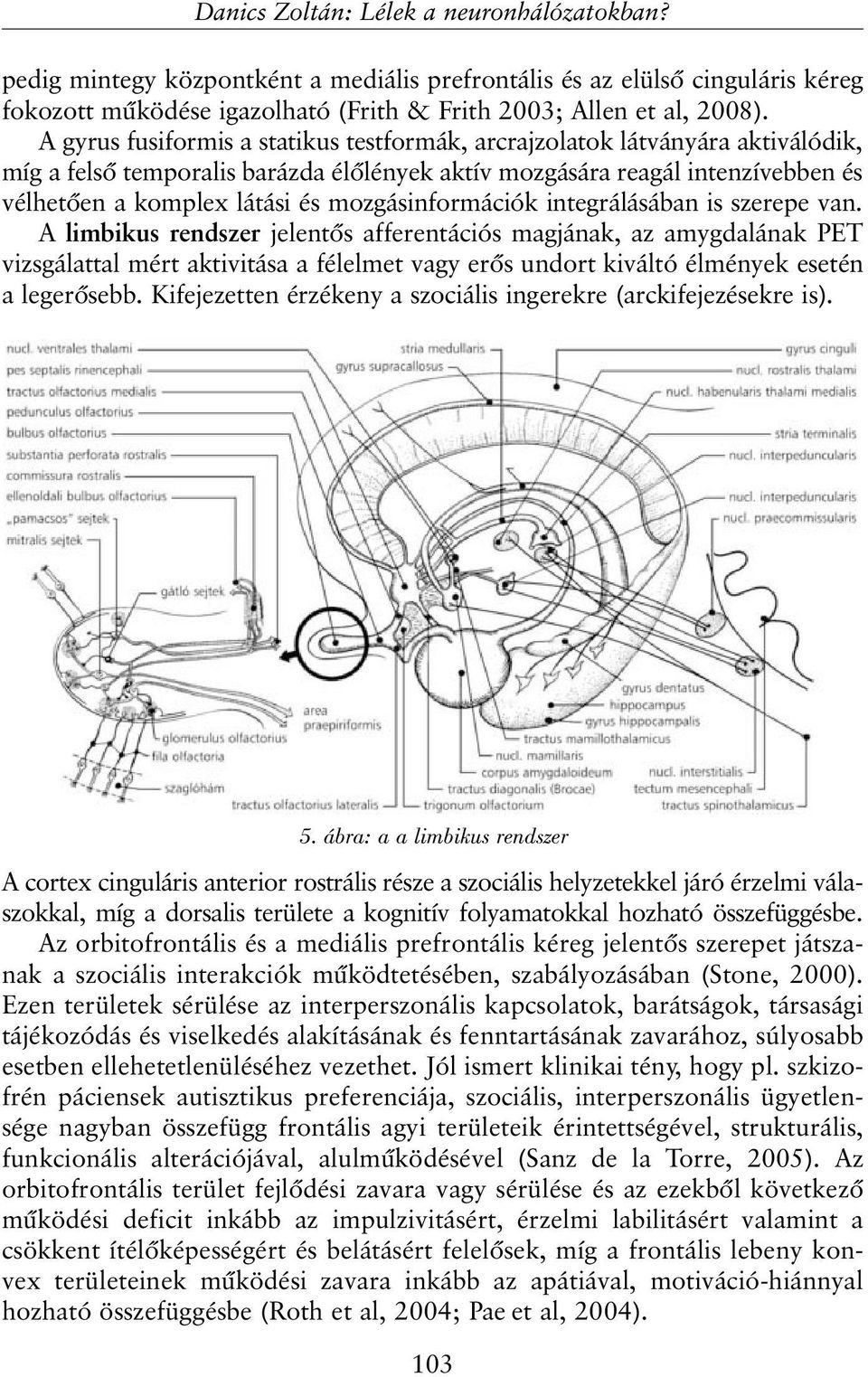 mozgásinformációk integrálásában is szerepe van.