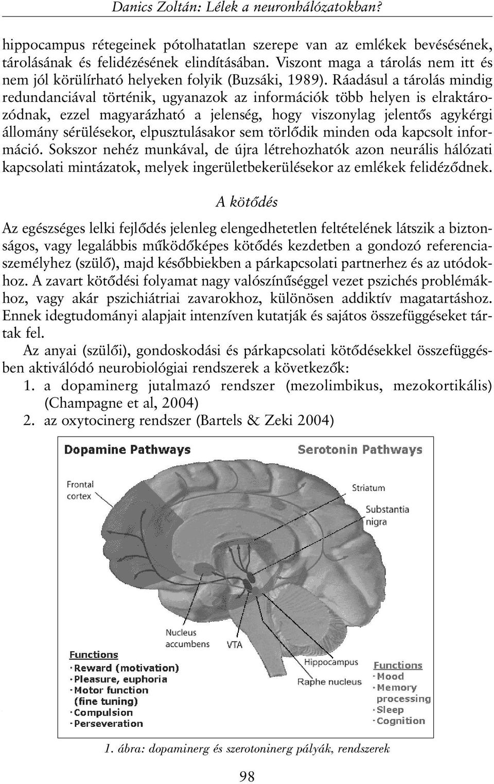 Ráadásul a tárolás mindig redundanciával történik, ugyanazok az információk több helyen is elraktározódnak, ezzel magyarázható a jelenség, hogy viszonylag jelentõs agykérgi állomány sérülésekor,