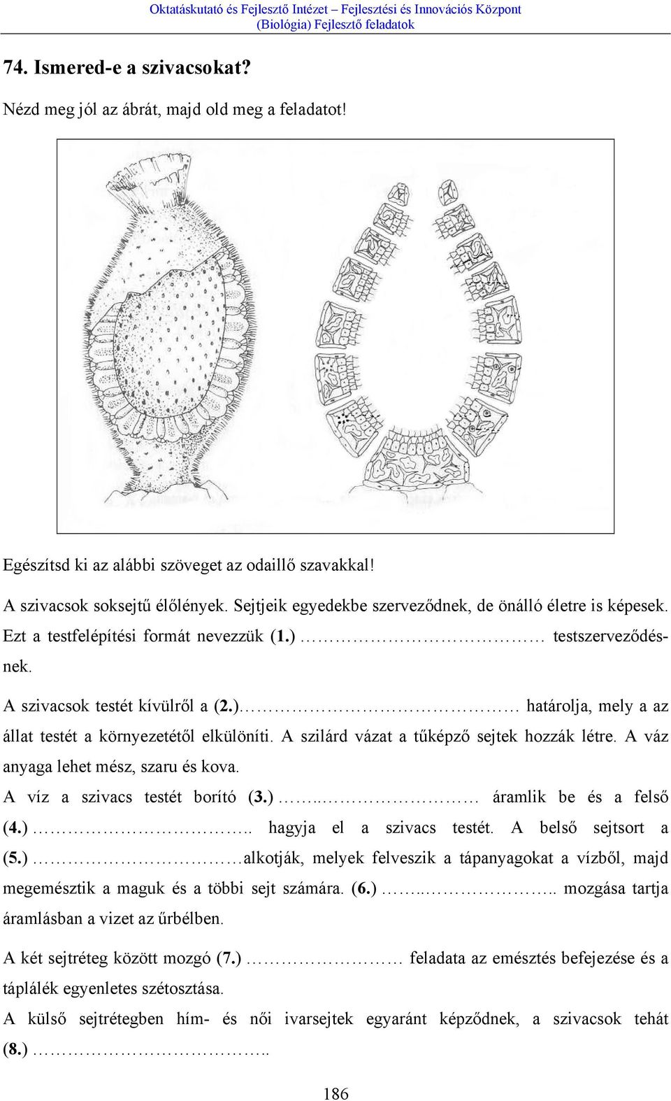 ) határolja, mely a az állat testét a környezetétől elkülöníti. A szilárd vázat a tűképző sejtek hozzák létre. A váz anyaga lehet mész, szaru és kova. A víz a szivacs testét borító (3.).. áramlik be és a felső (4.