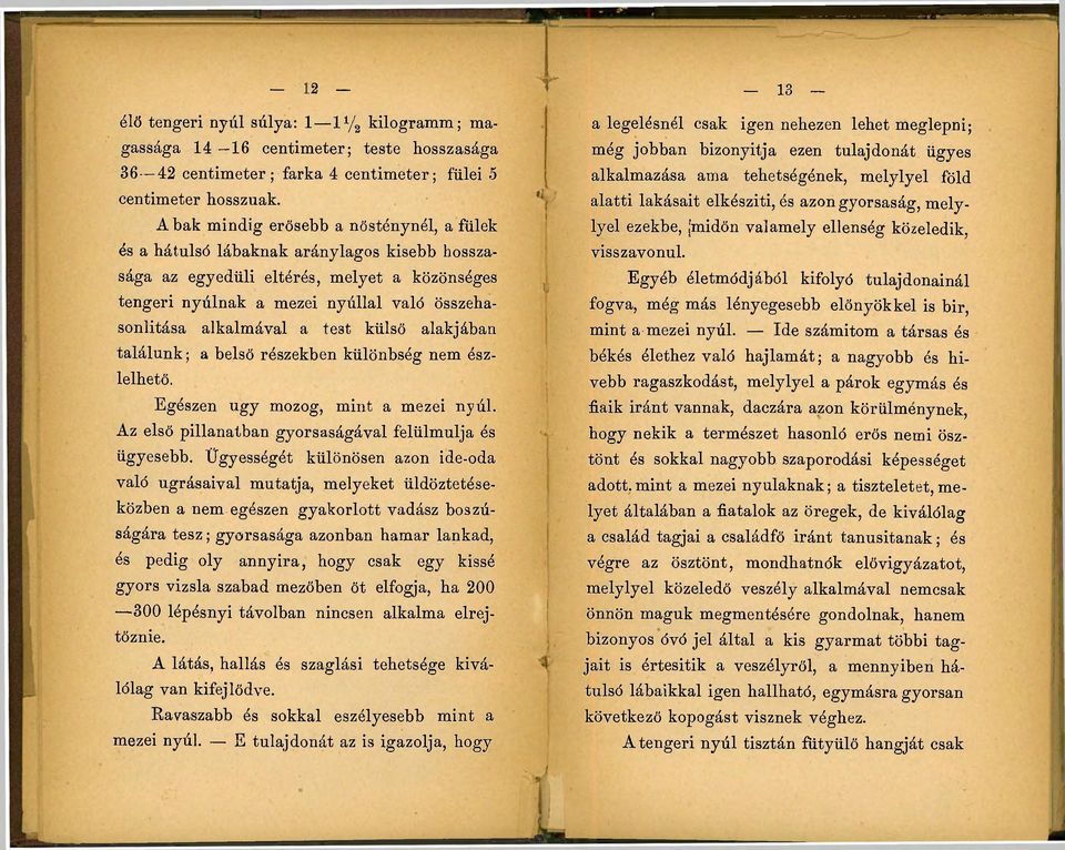 a test külső alakjában találunk; a belső részekben különbség nem észlelhető. Egészen ugy mozog, mint a mezei nyúl. Az első pillanatban gyorsaságával felülmúlja és ügyesebb.