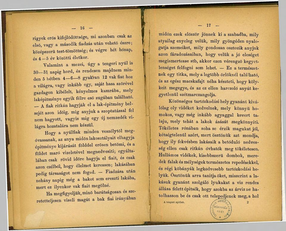 kényelmes kamrába, mely laképitménye egyik félre eső zugában található.