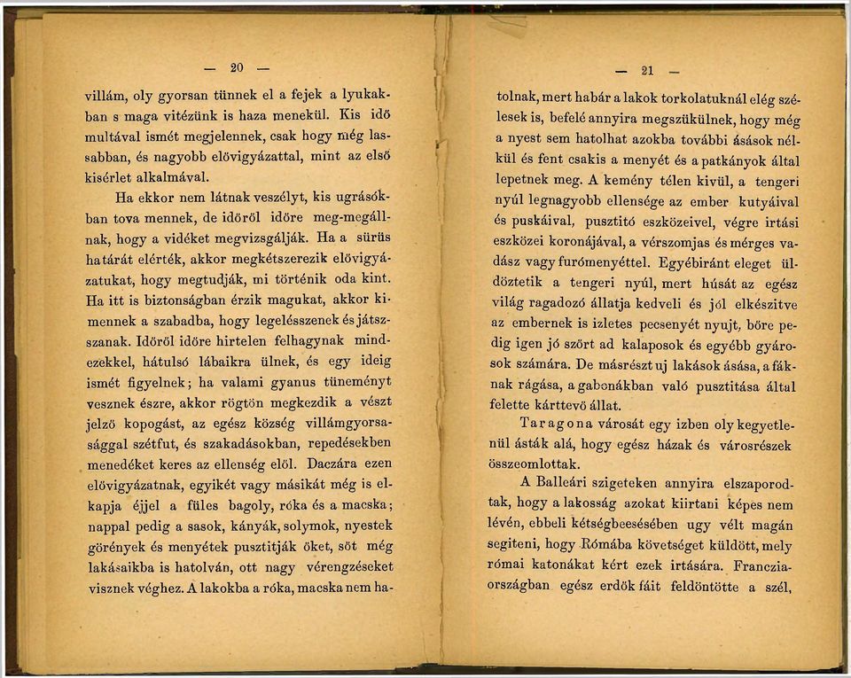 Ha ekkor nem látnak veszélyt, kis ugrásókban tova mennek, de időről időre meg-megállnak, hogy a vidéket megvizsgálják.