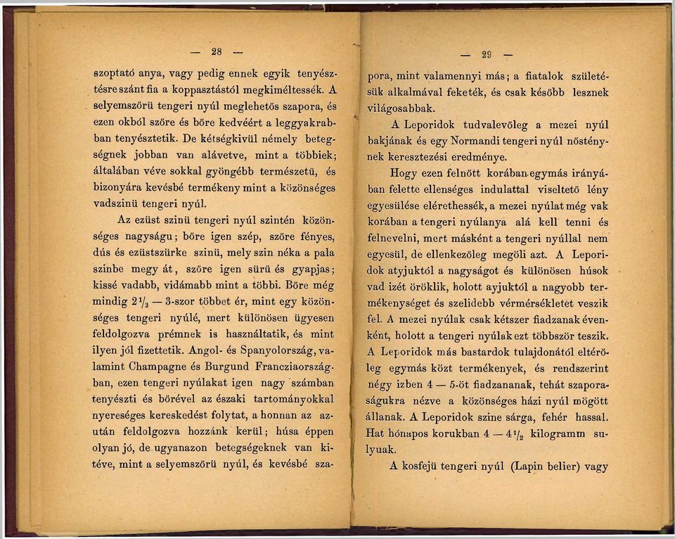 De kétségkívül némely betegségnek jobban van alávetve, mint a többiek; általában véve sokkal gyöngébb természetű, és bizonyára kevésbé termékeny mint a közönséges vadszinü tengeri nyúl.