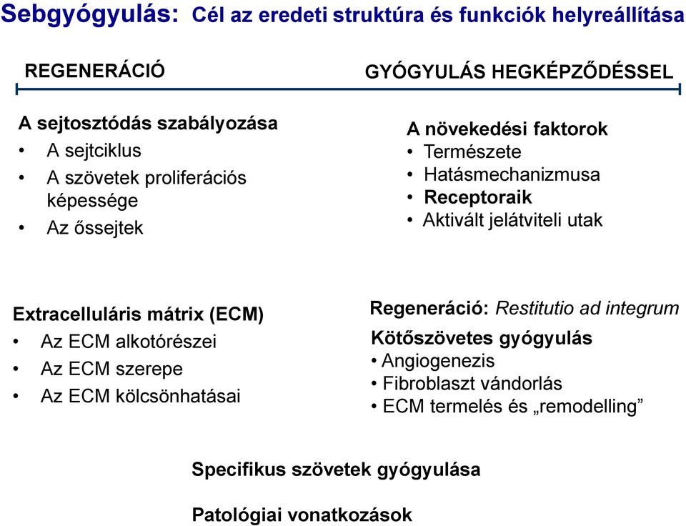 jelátviteli utak Extracelluláris mátrix (ECM) Az ECM alkotórészei Az ECM szerepe Az ECM kölcsönhatásai Regeneráció: Restitutio ad