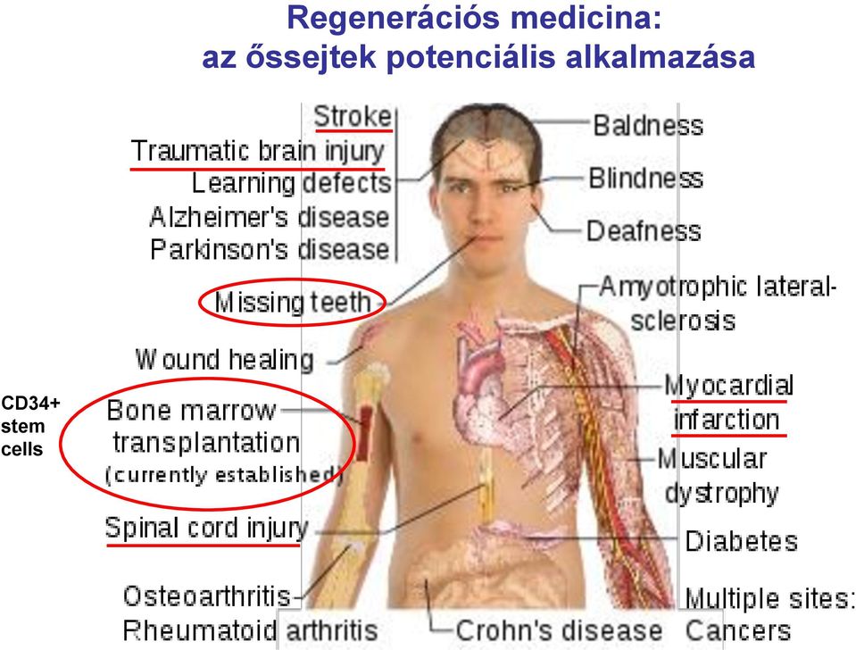 medicina: az