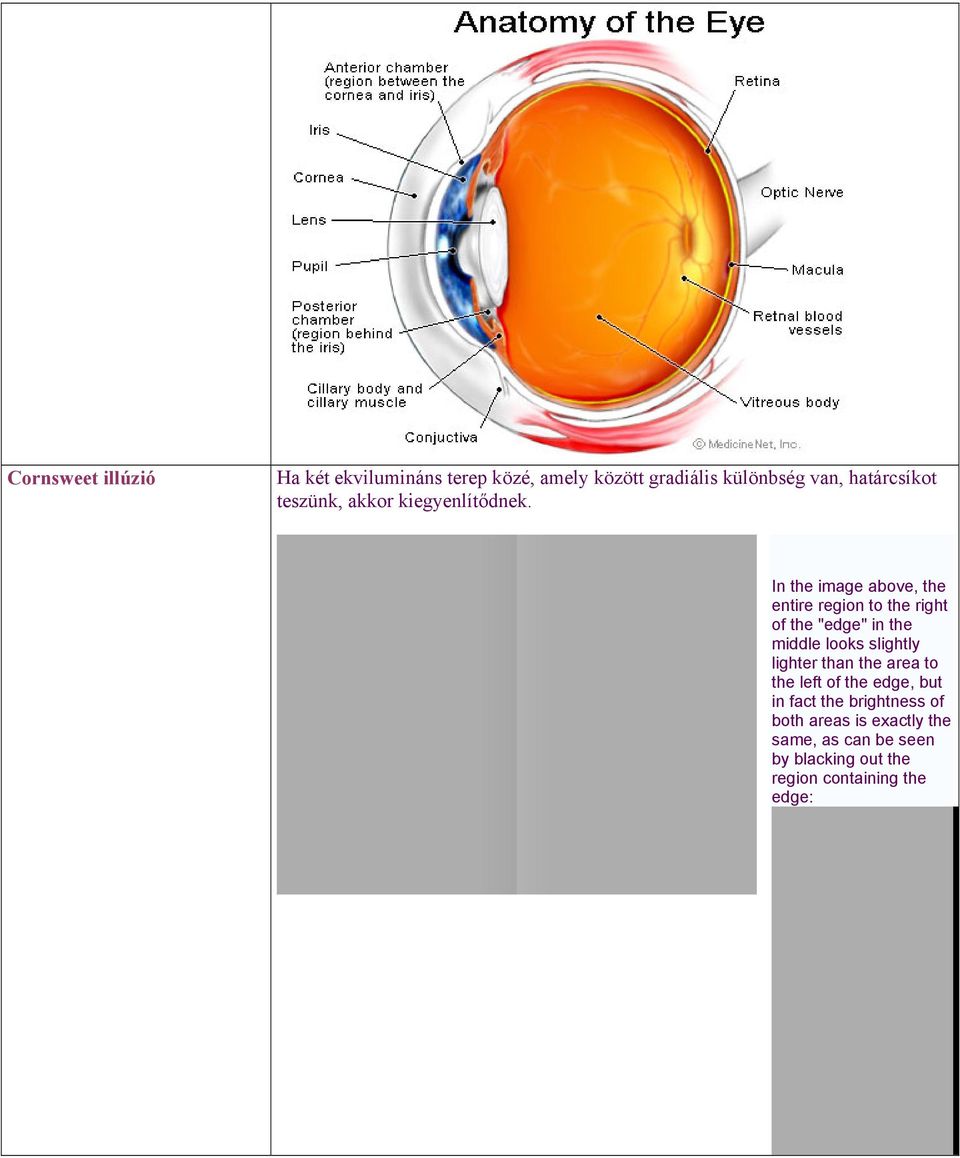 In the image above, the entire region to the right of the "edge" in the middle looks slightly