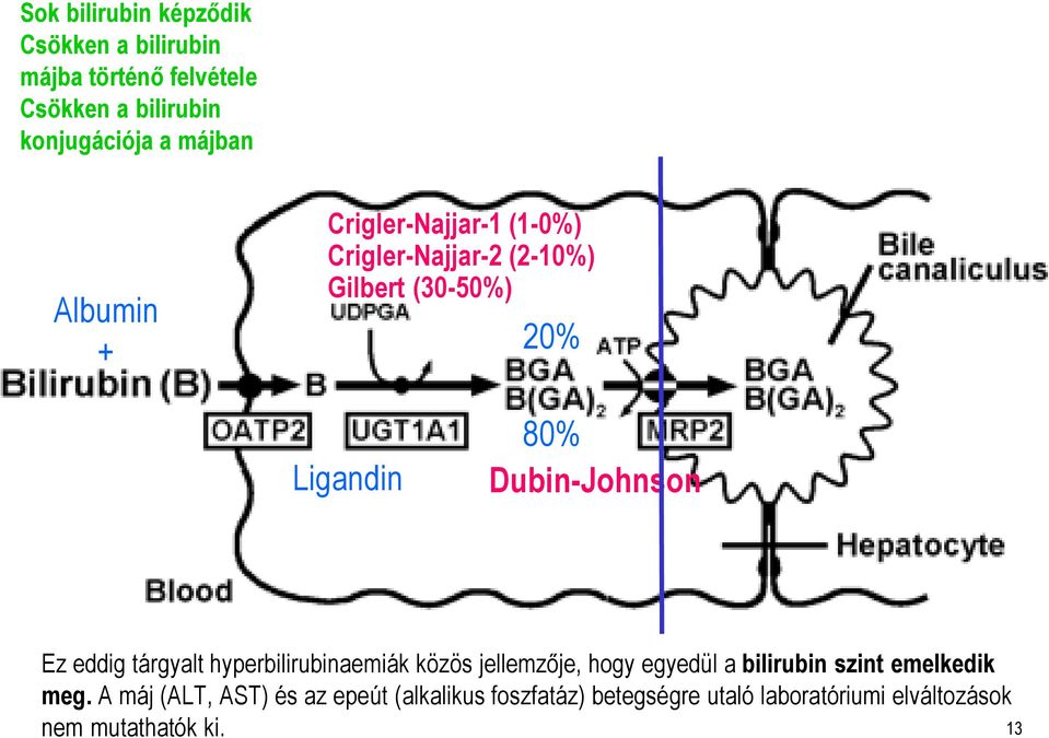 Ez eddig tárgyalt hyperbilirubinaemiák közös jellemzője, hogy egyedül a bilirubin szint emelkedik meg.