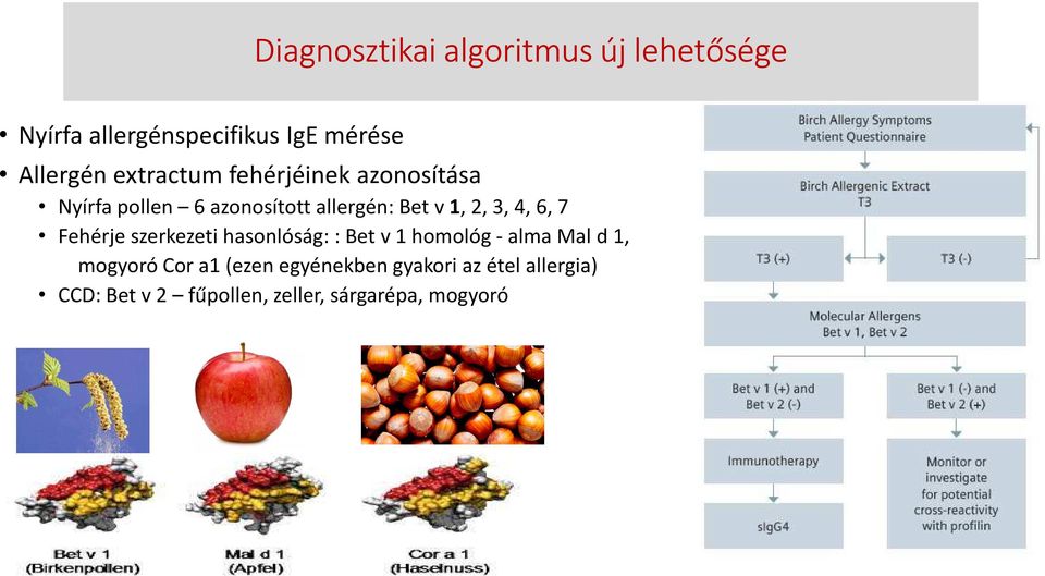 4, 6, 7 Fehérje szerkezeti hasonlóság: : Bet v 1 homológ - alma Mal d 1, mogyoró Cor a1