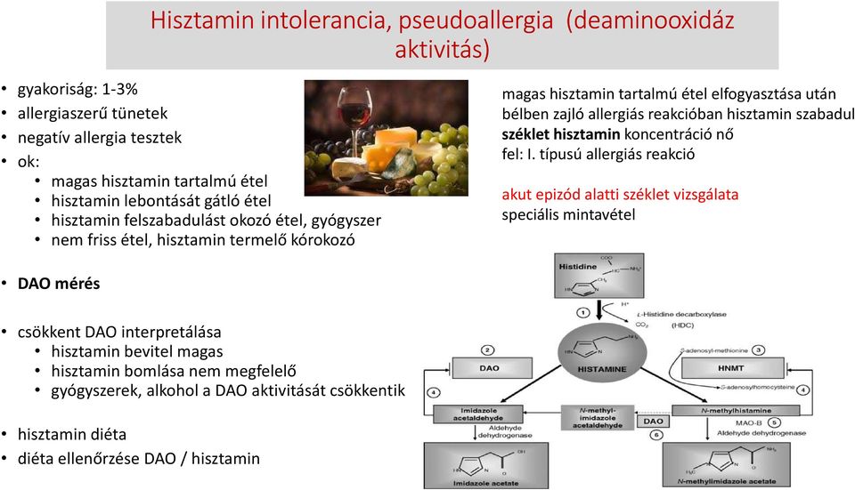 allergiás reakcióban hisztamin szabadul széklet hisztamin koncentráció nő fel: I.