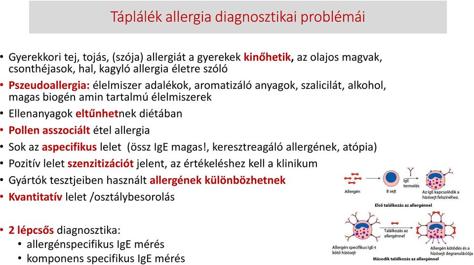 asszociált étel allergia Sok az aspecifikus lelet (össz IgE magas!