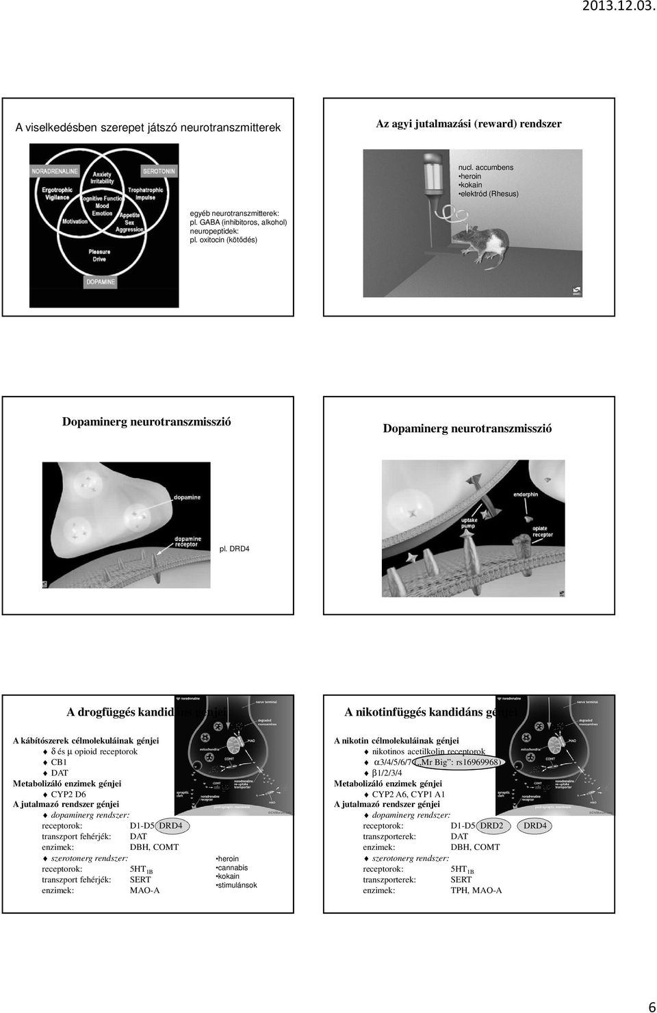 DRD4 A drogfüggés kandidáns génjei A nikotinfüggés kandidáns génjei A kábítószerek célmolekuláinak génjei δ és µ opioid receptorok CB1 DAT Metabolizáló enzimek génjei CYP2 D6 A jutalmazó rendszer