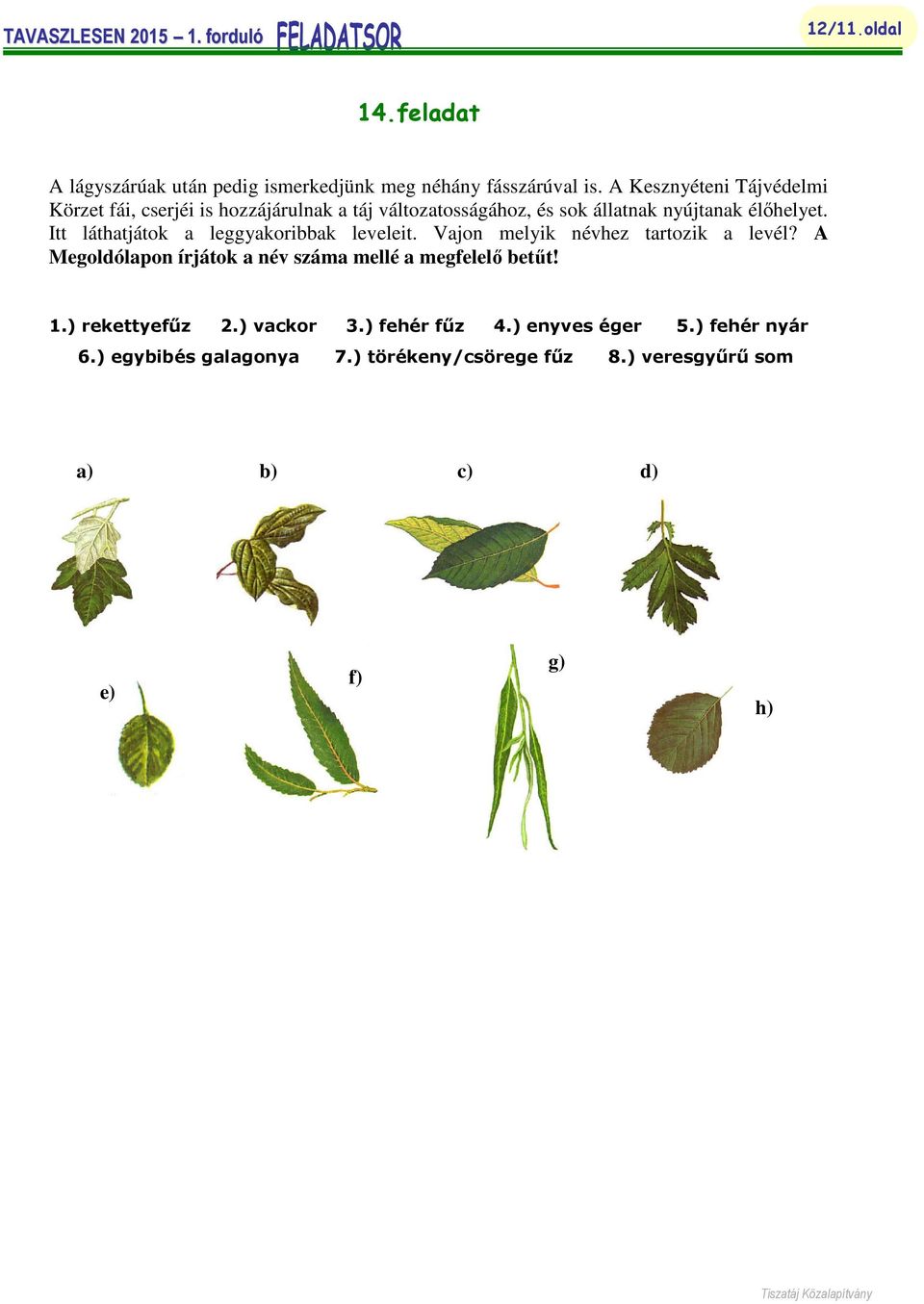 Itt láthatjátok a leggyakoribbak leveleit. Vajon melyik névhez tartozik a levél?