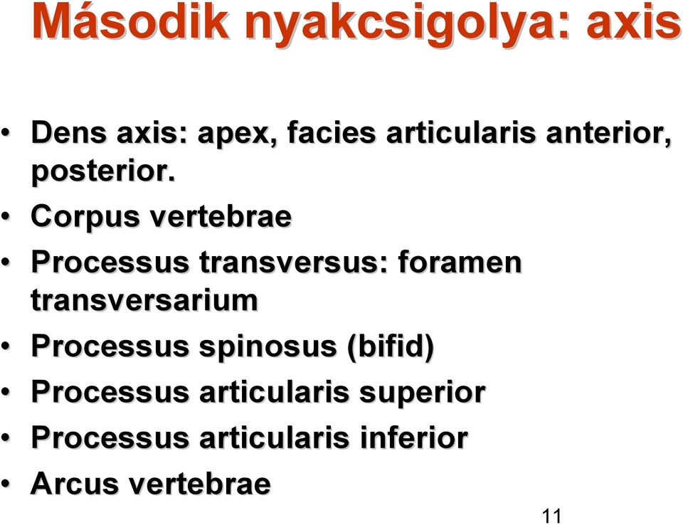 Corpus vertebrae Processus transversus: foramen transversarium