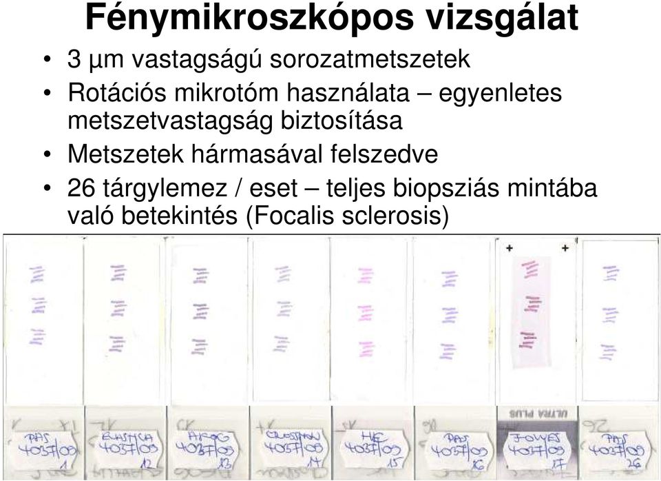 biztosítása Metszetek hármasával felszedve 26 tárgylemez /