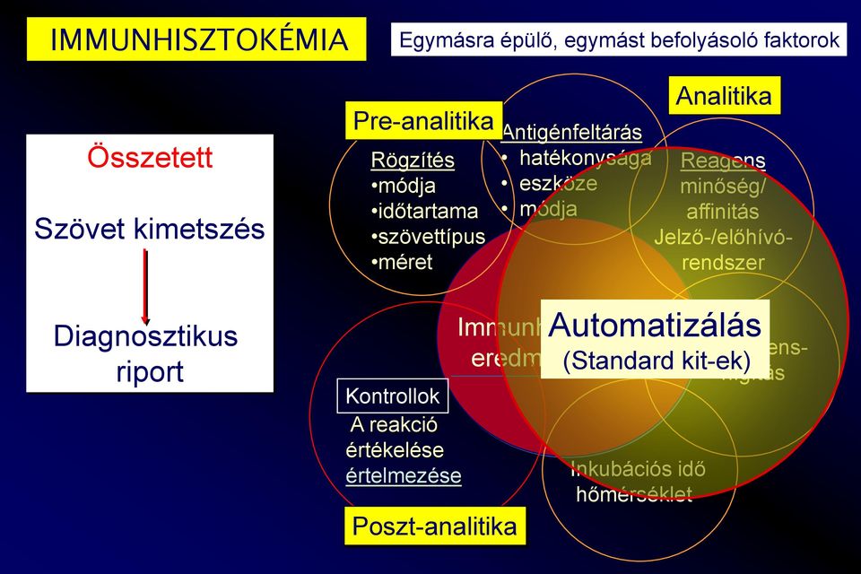 módja affinitás Jelző-/előhívórendszer Diagnosztikus riport Kontrollok A reakció értékelése értelmezése